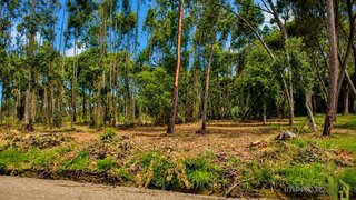 Land for sale in Sintra, Portugal — €55,000