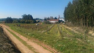 Land for sale in Torres Vedras, Portugal — €20,000