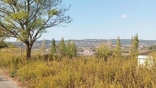 Terreno em Torres Vedras