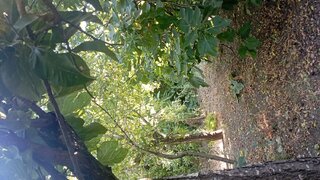 Land for sale in Loures, Portugal — €37,400