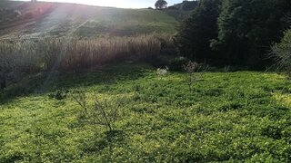 Land for sale in Torres Vedras, Portugal — €23,000