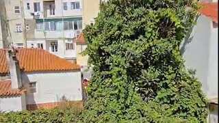 Terreno de 640 m² em Lisboa