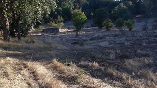 Land for sale in Azambuja, Portugal — €62,500