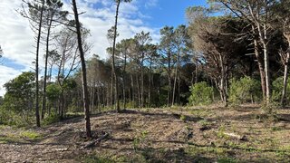 Land for sale in Sintra, Portugal — €55,000
