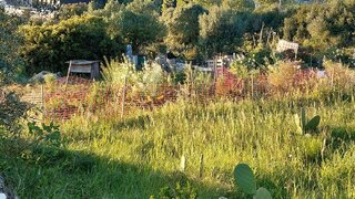 Land for sale in Sintra, Portugal — €38,000