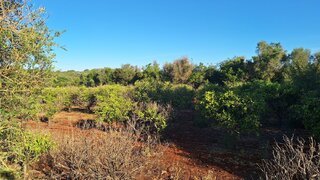 Land for sale in Albufeira, Portugal — €52,500