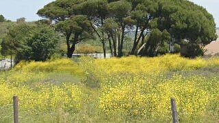 Land for sale in Sintra, Portugal — €1,300,000