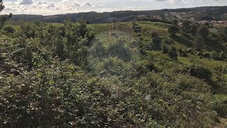 Terreno em Boticas
