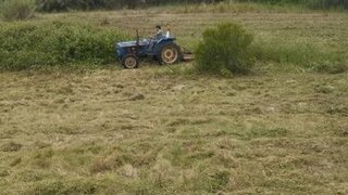 Land for sale in Lourinhã, Portugal — €55,000