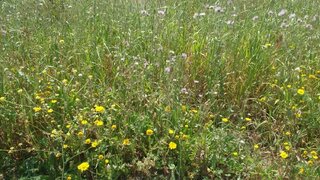 Land for sale in Oeiras, Portugal — €350,000