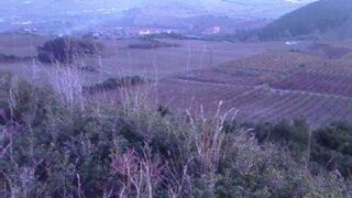 Land for sale in Alenquer, Portugal — €40,000