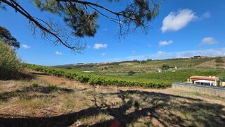 Land for sale in Lourinhã, Portugal — €49,900