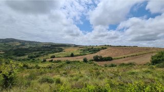 Land for sale in Arruda dos Vinhos, Portugal — €55,000