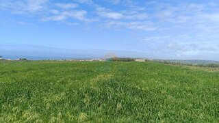 Land for sale in Mafra, Portugal — €59,500