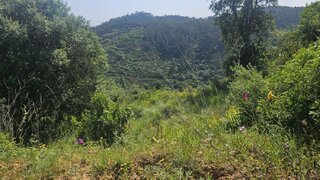 Land for sale in Mafra, Portugal — €37,000
