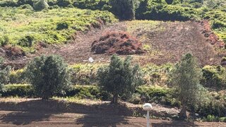Terreno em Loures