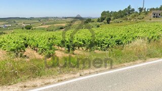 Land for sale in Cadaval, Portugal — €90,000