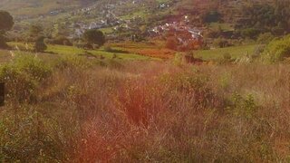 Land for sale in Vila Franca de Xira, Portugal — €125,000