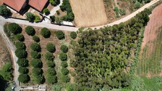 Land for sale in Lourinhã, Portugal — €150,000