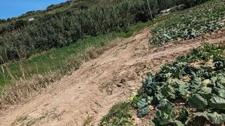 Land for sale in Lourinhã, Portugal — €30,000