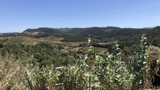 Land for sale in Mafra, Portugal — €55,000