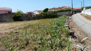 Land for sale in Mafra, Portugal — €192,500