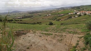 Land for sale in Torres Vedras, Portugal — €88,900