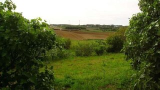 Land for sale in Lourinhã, Portugal — €120,000
