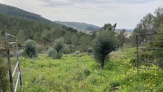 Land for sale in Cadaval, Portugal — €199,500