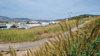 Land for sale in Loures, Portugal — €600,000