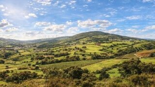 Land for sale in Ferreira do Zêzere, Portugal — €1,750,000