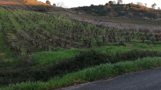 Land for sale in Azambuja, Portugal — €29,500