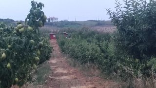 Land for sale in Lourinhã, Portugal — €267,000