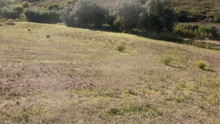 Land for sale in Mafra, Portugal — €57,500