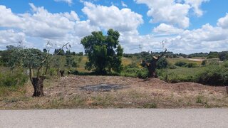Land for sale in Azambuja, Portugal — €18,900