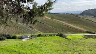 Land for sale in Torres Vedras, Portugal — €230,000