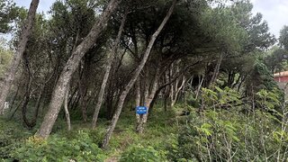 Land for sale in Cascais, Portugal — €2,200,000