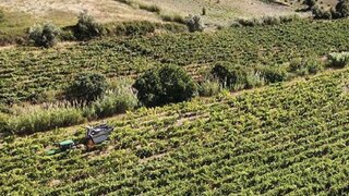 Land for sale in Alenquer, Portugal — €51,000