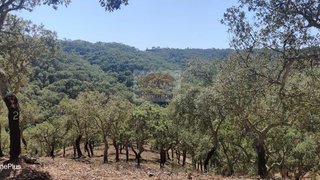 Land for sale in Grândola, Portugal — €170,000