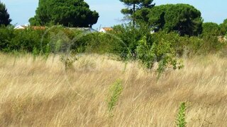 Land for sale in Montijo, Portugal — €98,900