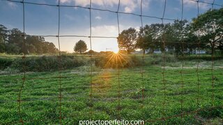 Terreno em Espinho · 5274 m² · 263 700 €