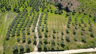 Land for sale in Mirandela, Portugal — €14,000