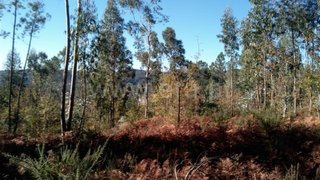 Land for sale in Fafe, Portugal — €15,000