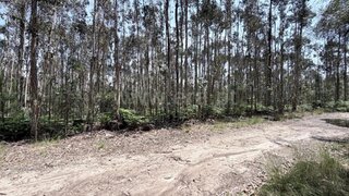 Land for sale in Barcelos, Portugal — €62,500