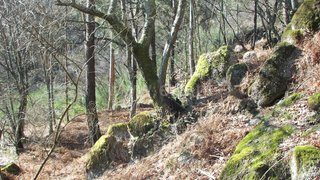 Terreno em Fafe