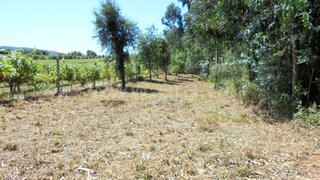 Land for sale in Barcelos, Portugal — €15,000
