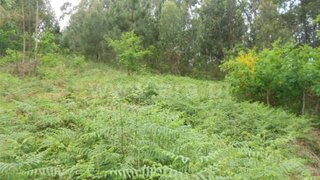 Land for sale in Póvoa de Lanhoso, Portugal — €38,000
