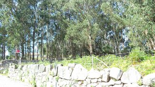 Land for sale in Esposende, Portugal