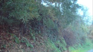 Land for sale in Fafe, Portugal — €31,000