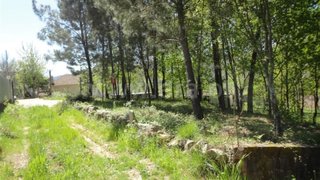 Terreno em Cabeceiras de Basto